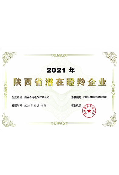 2021年陜西省潛在瞪羚企業(yè)